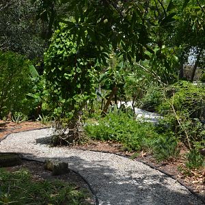 Shaded Gravel Pathway