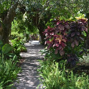 Shaded Gravel Pathway