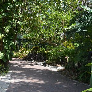 Shaded Area between aviaries