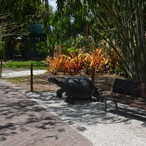 Tortoise Statue
