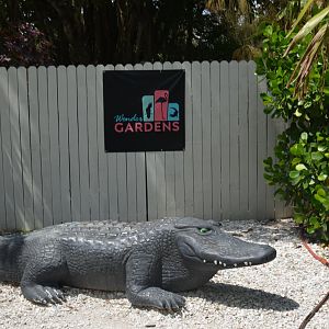 Alligator Statue