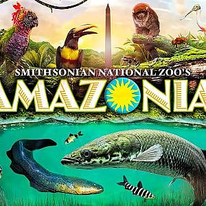 Amazonia & the Science Gallery | Zoo Tours