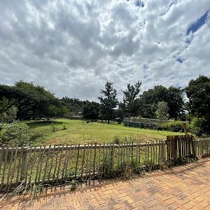Sable Antelope Enclosure (Hippotragus niger)