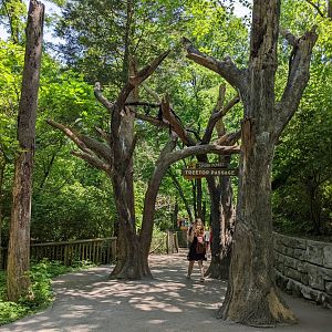 Entrance to Spider Monkey exhibit area