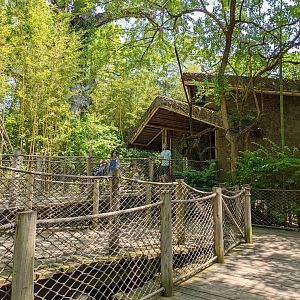 Spider Monkey viewing pavilion