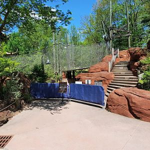 Cleveland Zoo, May 2022- Yagga Tree