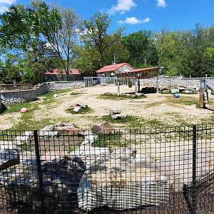 Cleveland Zoo, May 2022- Rhino yard Expansion