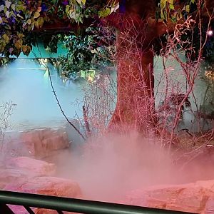 Cleveland Zoo, May 2022, Fog Island