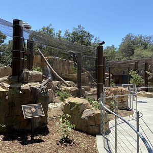 Large Mammal Exhibit 1