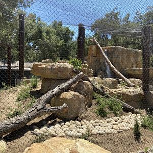 Large Mammal Exhibit 2