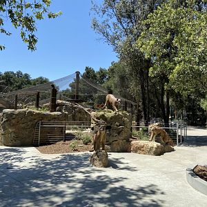 Large Mammal Exhibit 3