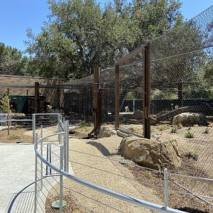 Large Mammal Exhibit 5