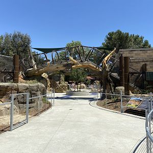 Large Mammal Exhibit 6