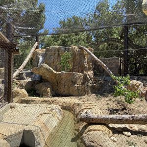 Large Mammal Exhibit 8