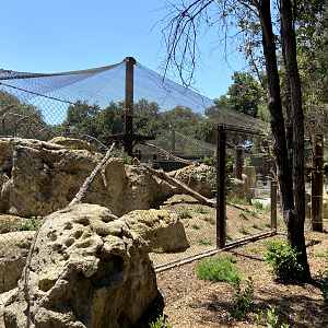 Large Mammal Exhibit 11