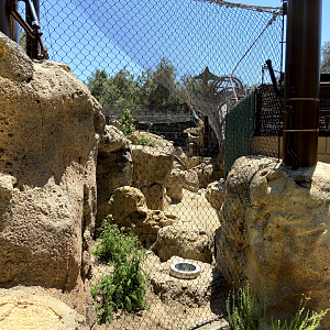 Large Mammal Exhibit 12