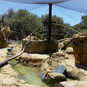 Large Mammal Exhibit 13