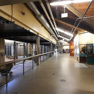 Alone inside Elephant Crossing