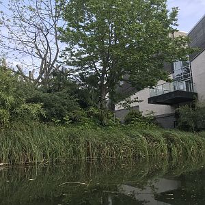 Chimpanzee enclosure lower area