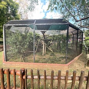 Prevost squirrel Enclosure (Callosciurus prevostii)