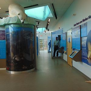 Leatherdale International Polar Bear Conservation Centre - Interactive Interpretive Centre