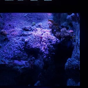 they have some amazing creatures in here