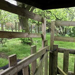 Southern cassowary enclosure (2)