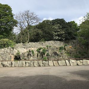 Former rock hyrax/barbary ape enclosure