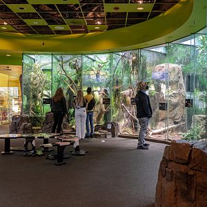 The LAIR tall terrariums