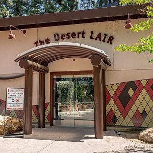 The Desert Lair building