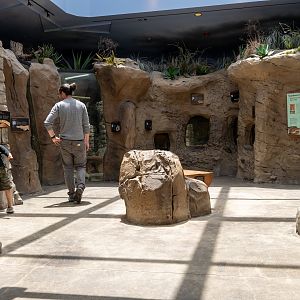 The Desert Lair interior