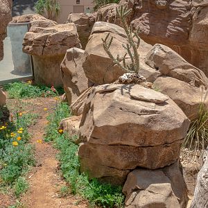 The Arroyo Lagarto interior shot