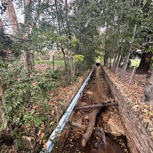 Canal Flowing through the Zoo (Bongo Exhibit on left)