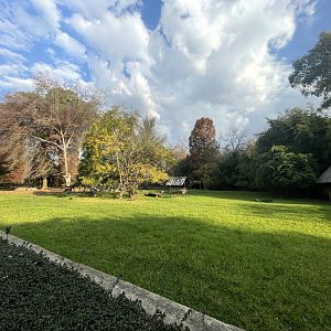 Sitatunga Enclosure (Tragelaphus spekii)