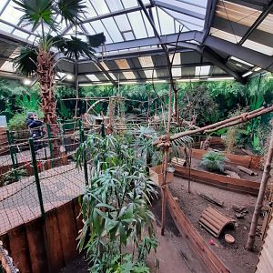 Inside the sloth house