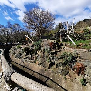 Malayan sun bear enclosure