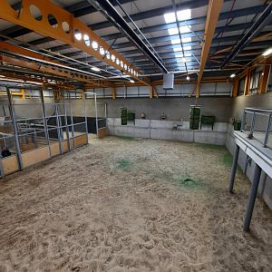 Inside the giraffe house