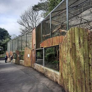 Scottish wildcat enclosures
