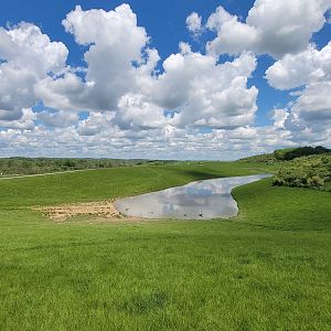 May. 2022 - The First Pasture