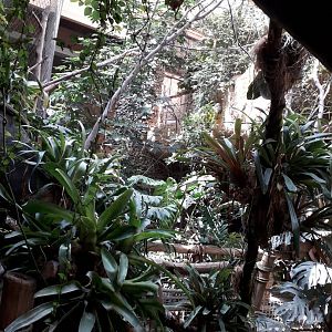 Pavilion of evolution