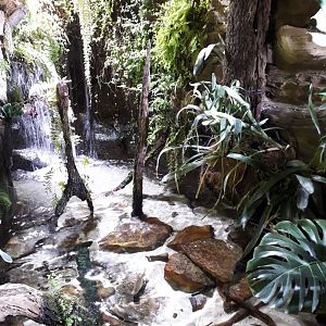 Inside pavilion called ''Malá Amazonie''