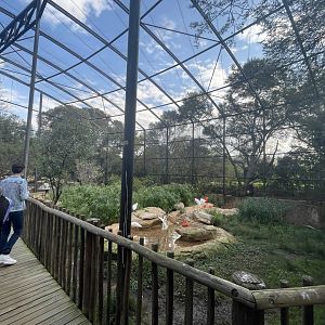 Waterfowl Aviary