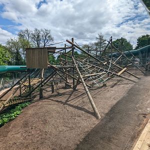 New (not yet inhabited) Orangutan enclosure / 12-5-22 / Dudley