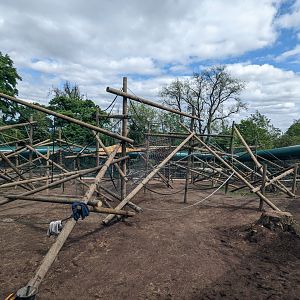 New (not yet inhabited) Orangutan enclosure / 12-5-22 / Dudley