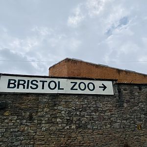 May 16th 2022 - sign for Bristol Zoo on perimeter wall