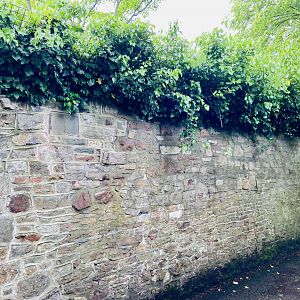 May 16th 2022 - Bristol Zoo perimeter wall