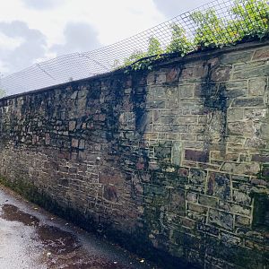 May 16th 2022 - Bristol Zoo perimeter wall
