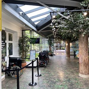 May 16th 2022 - interior of listed entrance building at Bristol Zoo