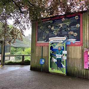 May 16th 2022 - Sloth House and educational material at Bristol Zoo