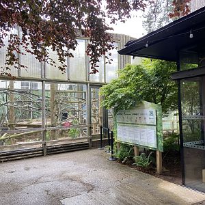 May 16th 2022 - viewing area for Linne's Two-toed Sloth at Bristol Zoo